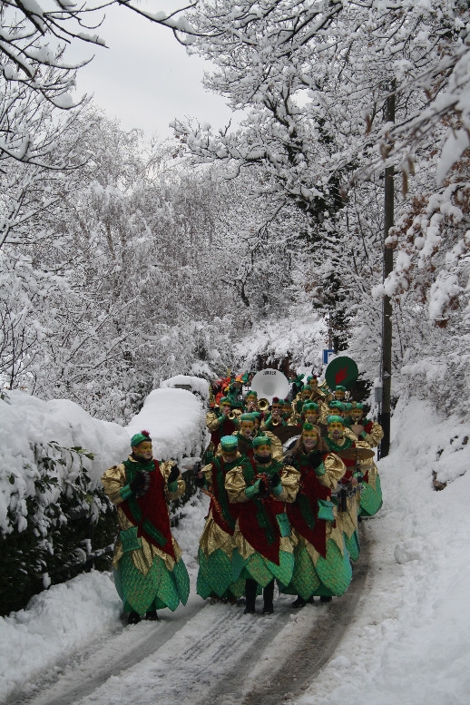 gran_carnevale_tremonese_2012 (08).jpg